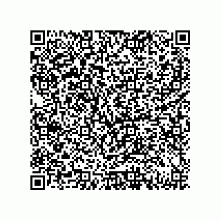 vCard 79833239033