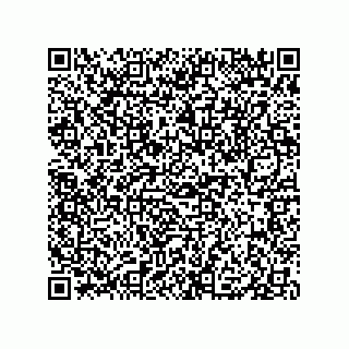 vCard 79833239107