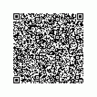 vCard 79833239111