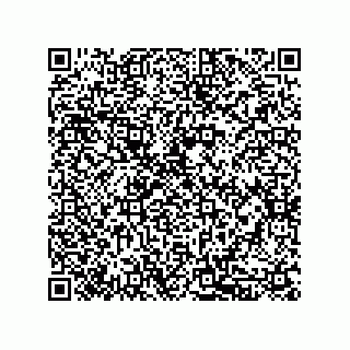 vCard 79833239119