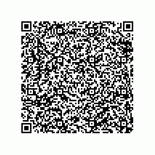 vCard 79833239173