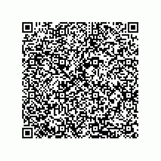 vCard 79833239181