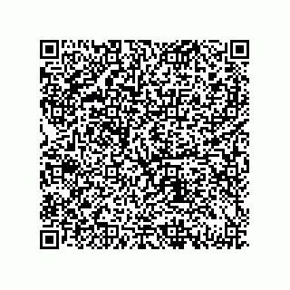 vCard 79833239211