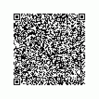 vCard 79833239213