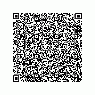 vCard 79833239296