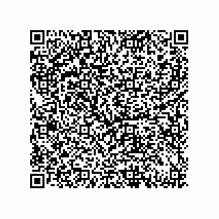 vCard 79833239297