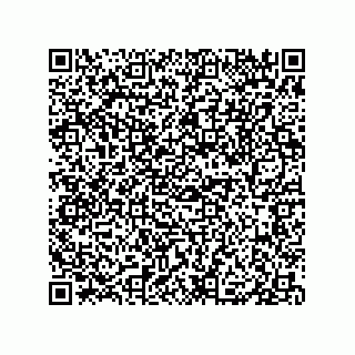 vCard 79833239313