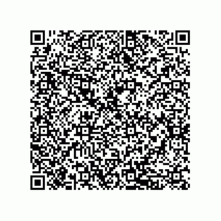 vCard 79833239317