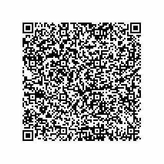 vCard 79833239333