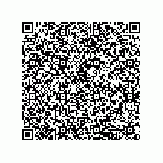 vCard 79833239335