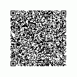 vCard 79833239370
