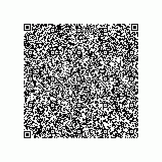 vCard 79833239384