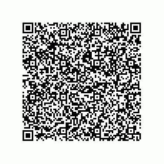 vCard 79833239385
