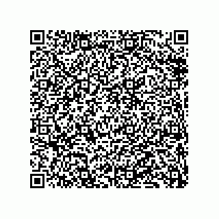 vCard 79833239386