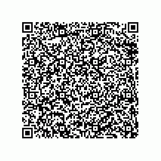 vCard 79833239387