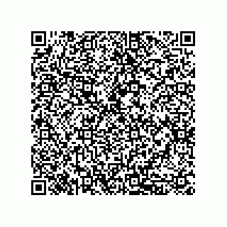 vCard 79833239388