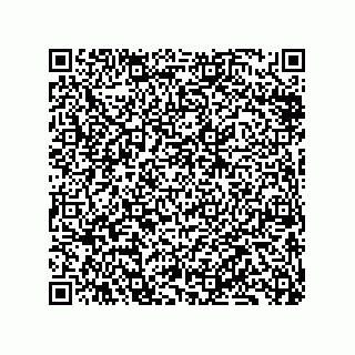 vCard 79833239395