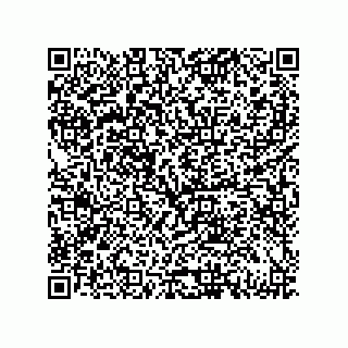 vCard 79833239399