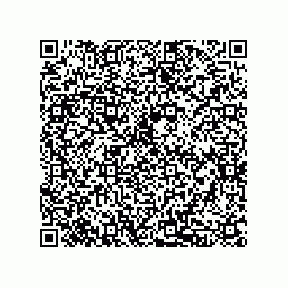 vCard 79833239409
