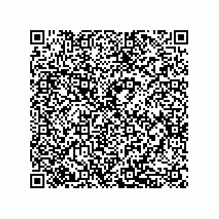 vCard 79833239411