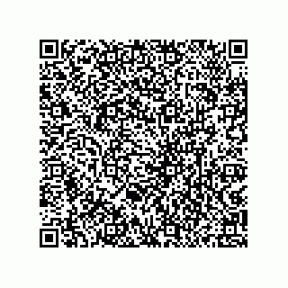 vCard 79833239420