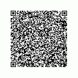 vCard 79833239458