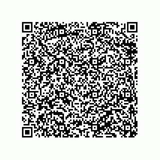 vCard 79833239481