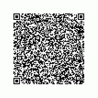 vCard 79833239489
