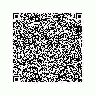 vCard 79833239497