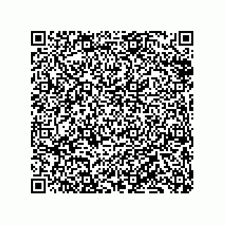 vCard 79833239501