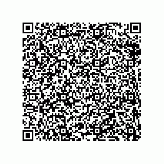vCard 79833239506