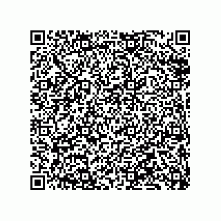 vCard 79833239508