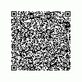 vCard 79833239513