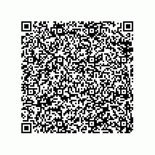 vCard 79833239529