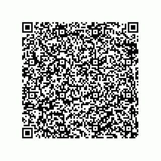 vCard 79833239533