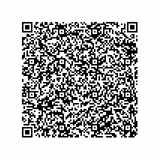 vCard 79833239541