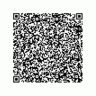 vCard 79833239552