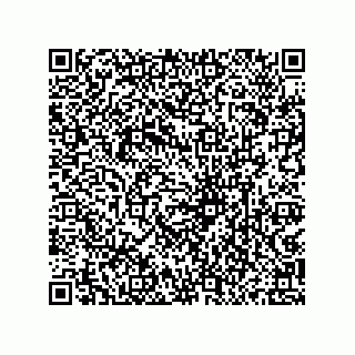 vCard 79833239580