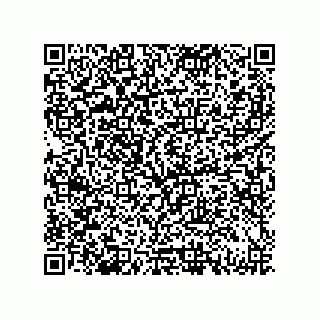 vCard 79833239603