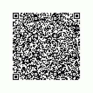 vCard 79833239681