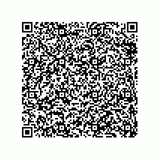 vCard 79833239699