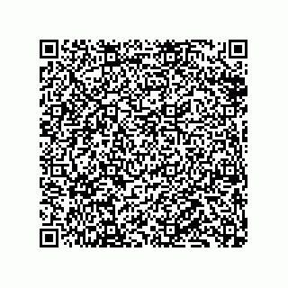 vCard 79833239703