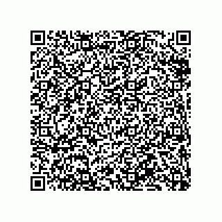 vCard 79833239730
