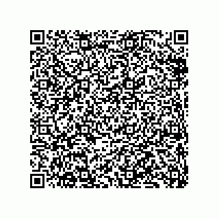 vCard 79833239739