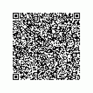 vCard 79833239744