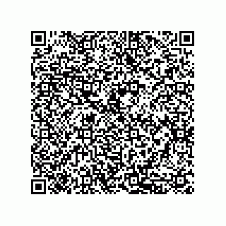 vCard 79833239808