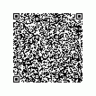 vCard 79833239868