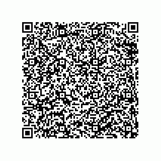 vCard 79833239873