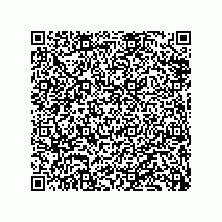vCard 79833239876