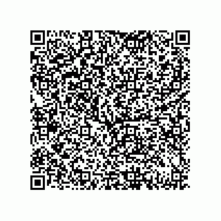 vCard 79833239879